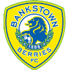 希爾斯聯FC